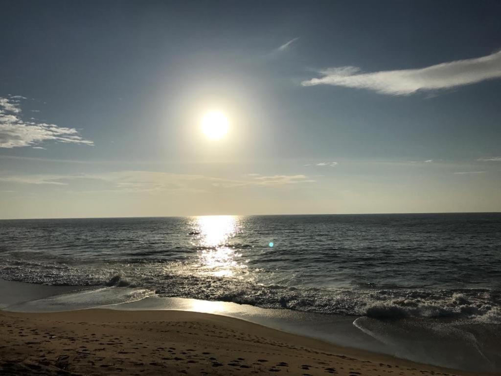Peacock Beach Hotel 함반토타 외부 사진