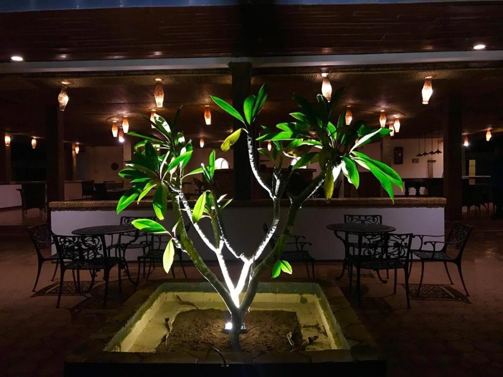 Peacock Beach Hotel 함반토타 외부 사진